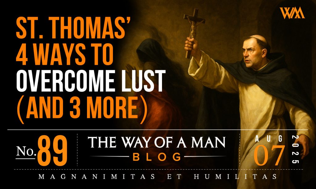 St. Thomas’ 4 Ways to Overcome Lust (And 3 More)—The 7 F’s