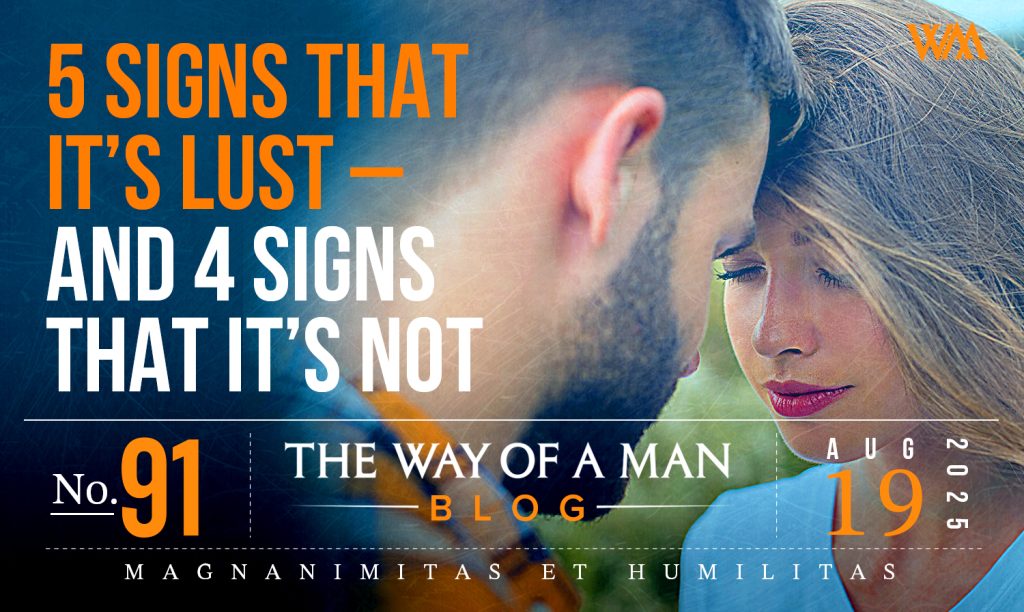 What Is and Is Not Lust